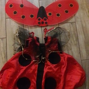 Halloween ladybug costume